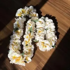 フラダンス　プルメリア　レイ＆ハク　セット