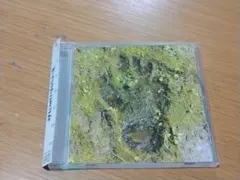 ザ・クロマニヨンズ CD