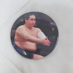 大相撲　翠富士関★直筆サインカード 大相撲 翠富士関☆直筆サインカード 2025年最新】翠富士 サイン