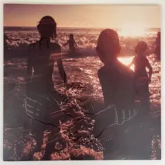 Linkin Park リンキンパーク One More Light レコード