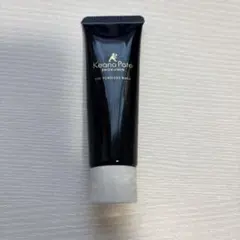 サナ 毛穴パテ職人 クッションブースター下地