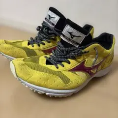 【美品】MIZUNO WAVE EMPEROR JAPAN 25cmのサムネイル