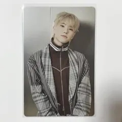 SEVENTEEN トレカ ホシ carat land