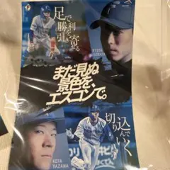 ファイターズ　日ハム　まだ見ぬ景色を、エスコンで。　ステッカー　五十幡　矢澤