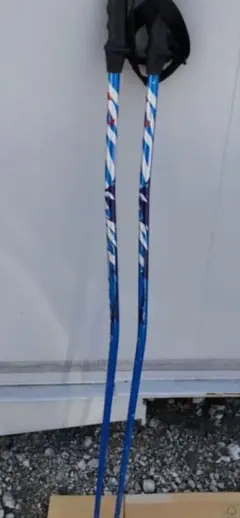 カワハラウォーキング カワハラポール 紫 - メルカリ