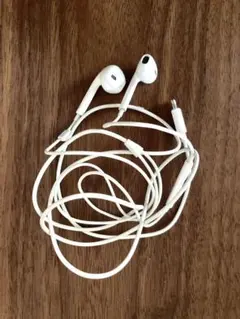 Item thumbnail for item 1e388693-a95d-4ac1-a773-db326875967e