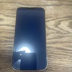 Apple iPhone 13 Pro 本体 背面ガラス割れ ジャンク - メルカリ