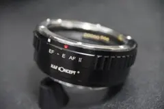 Item thumbnail for item bf72bbb0-1eff-4c81-ae2c-24ce52f6e7d9