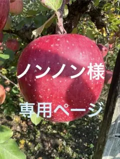 ノンノン様専用　高徳りんご2K