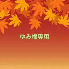 ゆみ様専用♥オーダー品