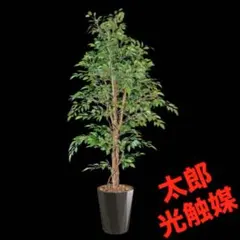 光触媒 人工観葉植物 ウォールグリーン フェイクグリーン アセビ175