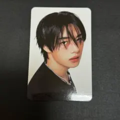 straykids スキズ karma skzoo ver リノトレカ