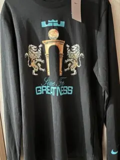 NIKE Lebron Strive For Greatness 長袖Tシャツのサムネイル