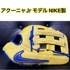 NIKE 硬式グローブ 青 nike pro 2005 激レア 紐交換 中古 NIKE 硬式グローブ 青 nike pro 2005 激レア 紐交換 中古