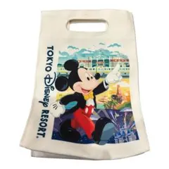 東京ディズニーリゾート ショッパー柄 バッグ ミッキー ミニー
