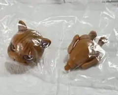 カプセルドール カプセルトイ