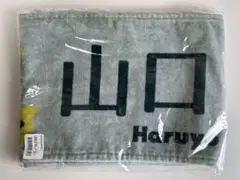 Item thumbnail for item 529cde19-7eab-47e2-ab1e-9ad764c7de49