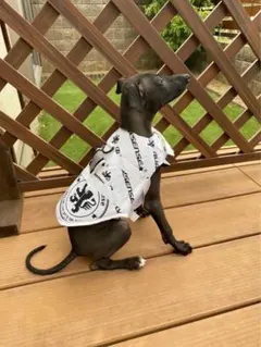 クエーキーセンス 犬用 ライフジャケット 白XXSのサムネイル
