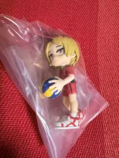 ハイキュー!! PalVerse パルバース 孤爪研磨