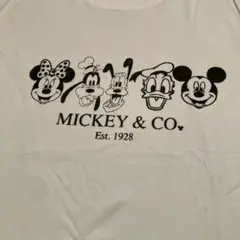 Temu購入　ミッキーTシャツ　白　L