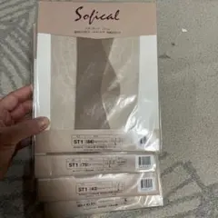 Item thumbnail for item f8e23ed8-6c16-46aa-a6a9-e2795d971182