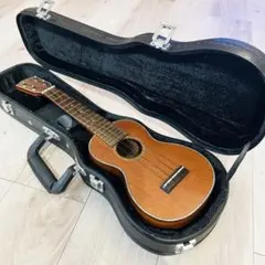 ウクレレ ALA MOANA UK-360 アラモアナ ハードケース付 Amazon.co.jp: ALA MOANA アラモアナ ウクレレ AMAZONオリジナル6点