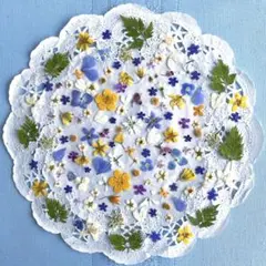 あやの様 リクエスト 2点 まとめ商品