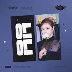 Aespa ニンニン スローガン マスターさん