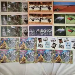 2025年最新】オーストラリア コアラ切手の人気アイテム - メルカリ