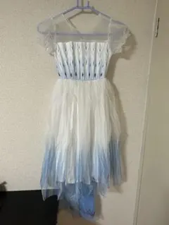 アナと雪の女王　ディズニーランド　ワンピース