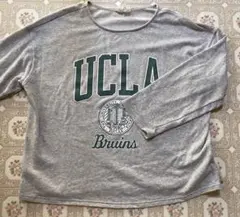 ucla スウェット