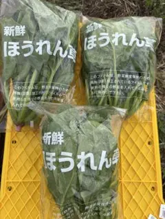 ほうれん草　600グラム　増量中のサムネイル