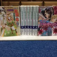 即購入NG  大河は愛をつなぐそして花嫁は恋を知る TL小説八冊セット