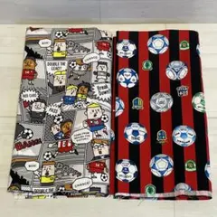 ⭐︎レア⭐︎サッカー選手柄&サッカーボール柄　オックス生地　2枚セット その1