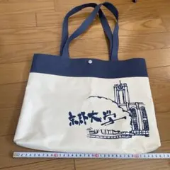 Item thumbnail for item 0f77fe1c-2169-40e1-bb7c-e8a08e65cc01