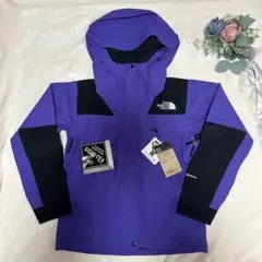 【新品】THE NORTH FACE マウンテンジャケット NPW61800