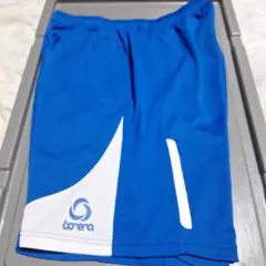 Item thumbnail for item 17e0a520-eb25-4150-9a29-631cc2019c2a