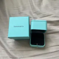 【空箱】Tiffany & Co. ジュエリーボックスリング用