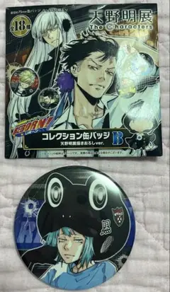 天野明展　家庭教師ヒットマンREBORN！コレクション缶バッチB 【フラン】