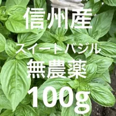 信州産　スィートバジル　無農薬　100gのサムネイル