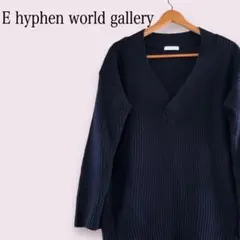 イーハイフンワールドギャラリー長袖ニットセーター 紺系サイズF