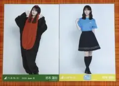 2026年最新】岩本蓮加 生写真の人気アイテム - メルカリ
