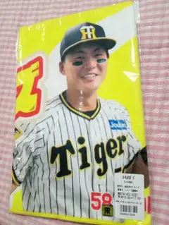 阪神タイガース