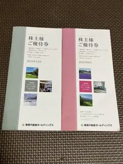 東急不動産ホールディングス株主優待 宿泊・飲食優待券 2026年8月末まで有効