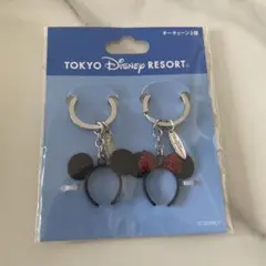 東京ディズニーリゾート ミッキー・ミニー キーホルダー 2個セット