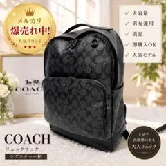 超美品】COACH イーサン バックパック シグネチャーキャンバス A4収納
