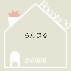 らんまるさま専用　ポコ多肉植物おまとめ韓国苗販売会
