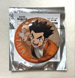Dr.STONE STONEFES. ストーンフェス 缶バッジ 大木大樹