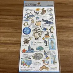 mai様 リクエスト 2点 まとめ商品