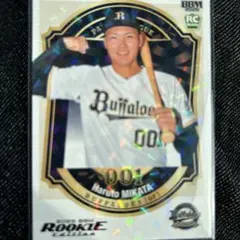 Item thumbnail for item 6e0b8607-e947-46af-ab7a-01bfe52100b8